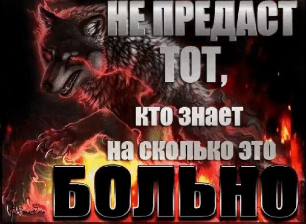 IMG 20260118 193855