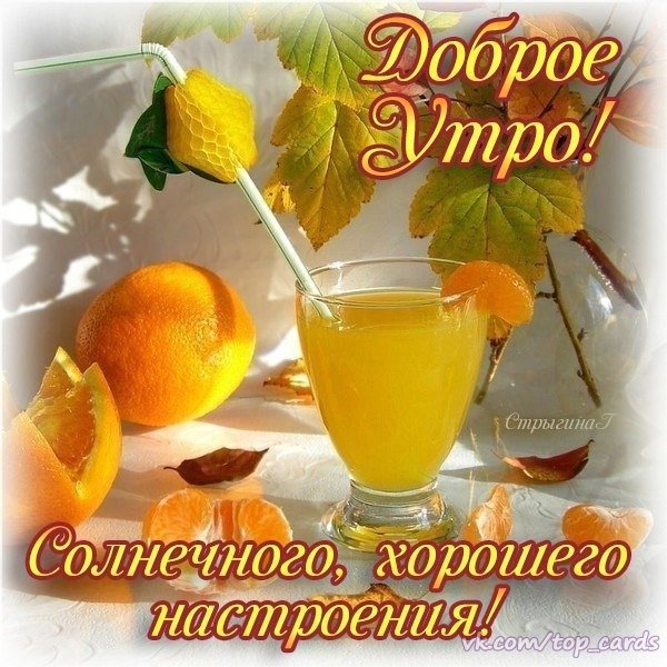 IMG-20251031-WA0005