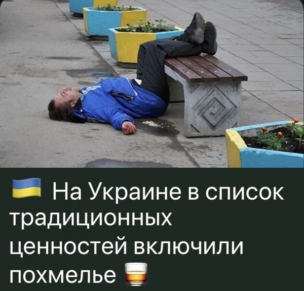IMG 20260629 204436