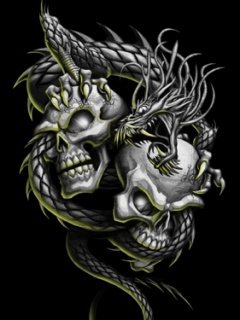 dragons 676