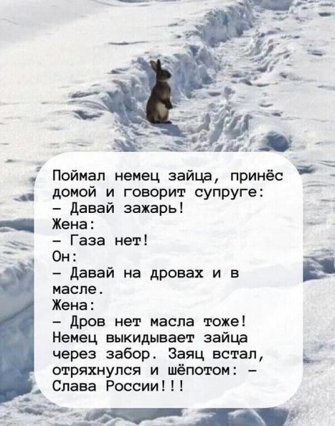 IMG 20251029 131316