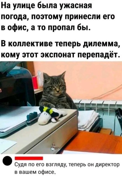 file_103379286