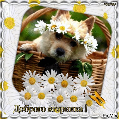 file_93023757