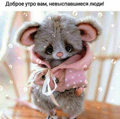 file_75275061