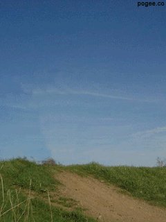 bikes