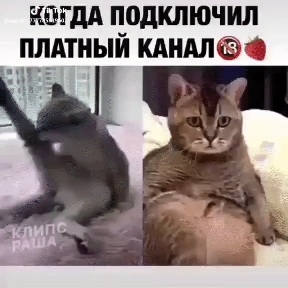 IMG 20230209 225218