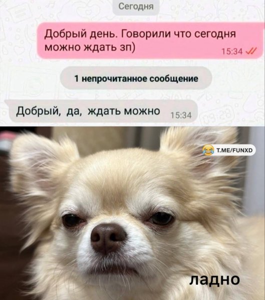 IMG 20251226 175818 341