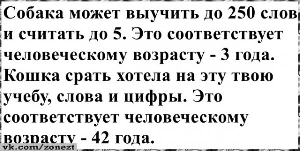 file_100548897