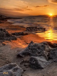 file_9335602