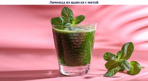 Лимонад из щавеля с мятой