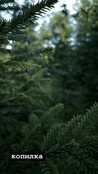 file_95147489