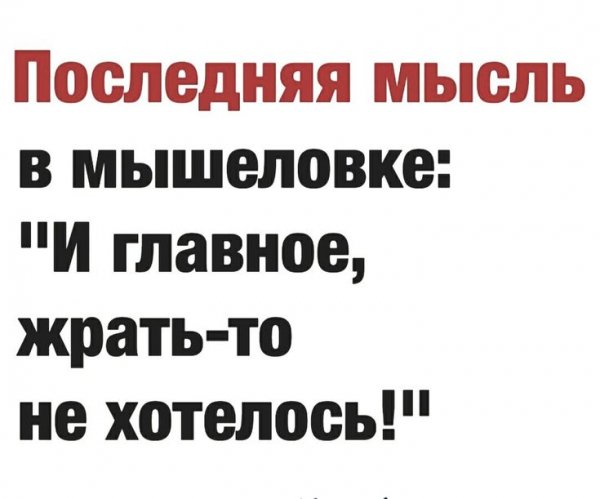 Последняя мысль