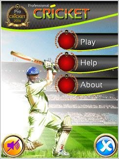Pro Cricket 320x240
