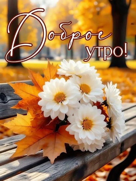 IMG 20260913 092529 198