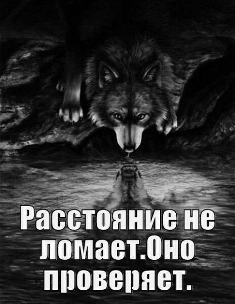 1c999b85ca7d3ced92f1f978307160bb
