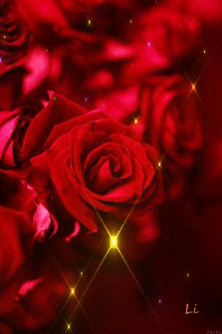 file_65247512