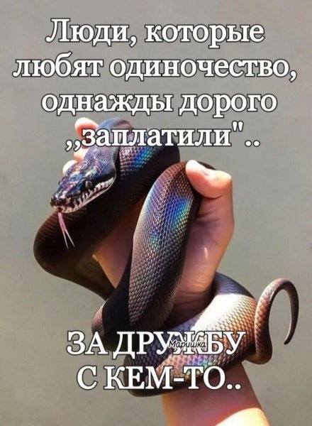 file_100462174