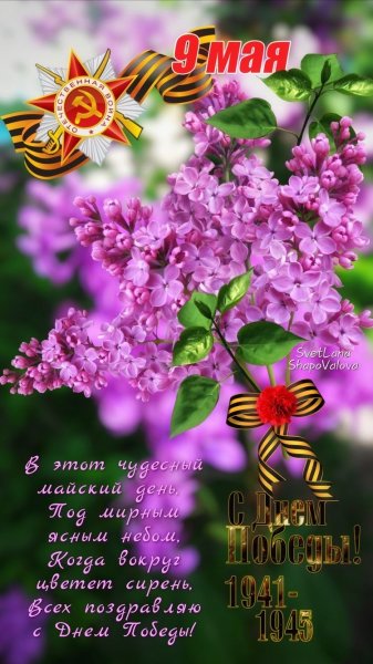 file_93497713