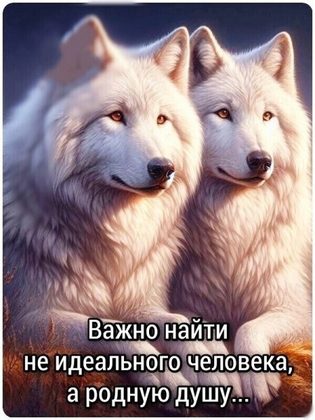 IMG 20260623 153636