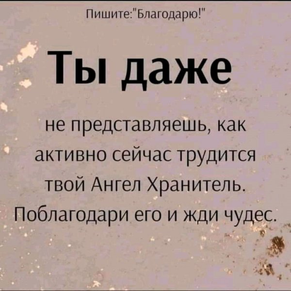 FB IMG 16266871899234418