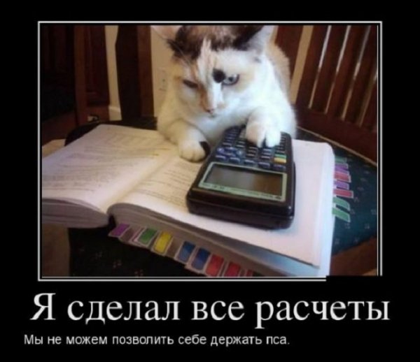 Мы не можем позволить себе держать пса