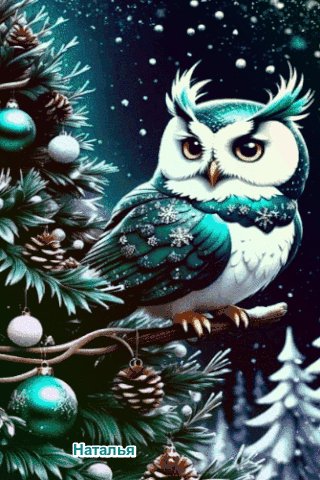 file_99385314