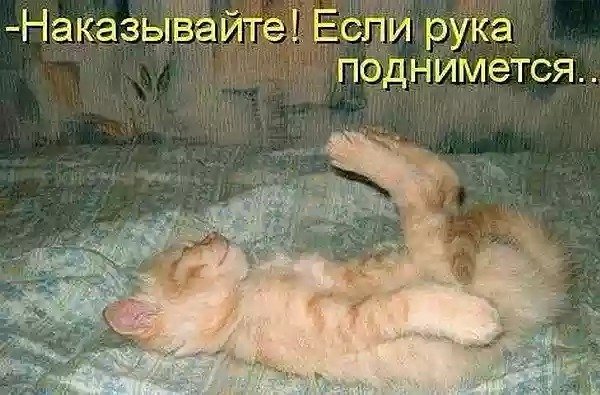 getImage(64)