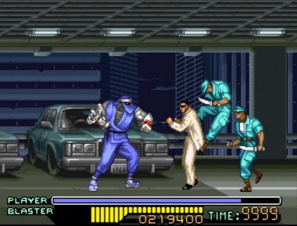 Ninja Warriors