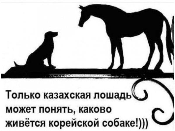 file_101595540