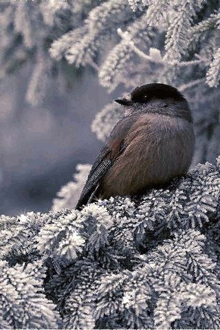 file_75174742