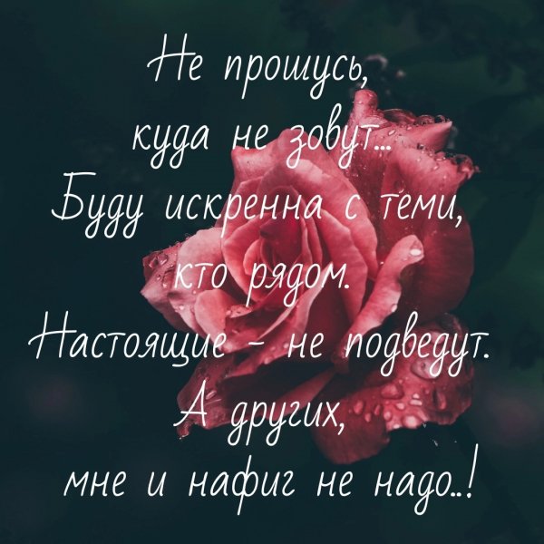 MKqWd9I9Cm4-