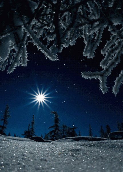 file_75876939