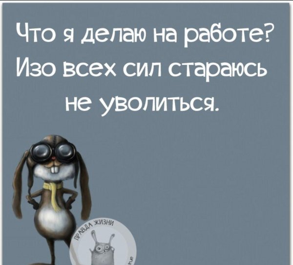ZYV s6aiOxs