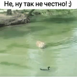 IMG 20250117 084057