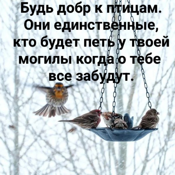 IMG 20231127 204108