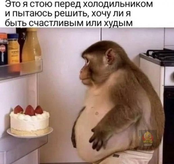 file_103304873