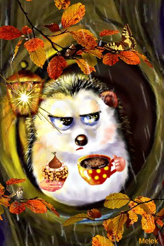 file_78902084