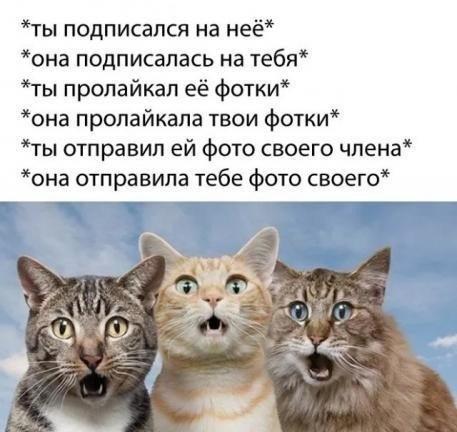 file_103290212