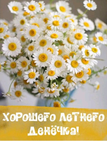IMG 20190709 105112