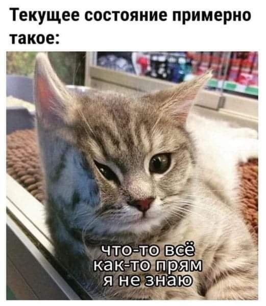 FB IMG 1729782046046