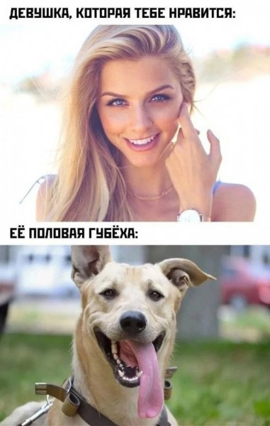 file_103425522