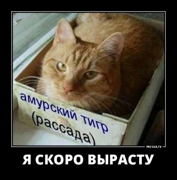 file_77072121