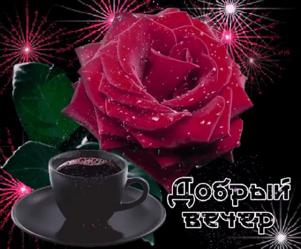 file_80548006