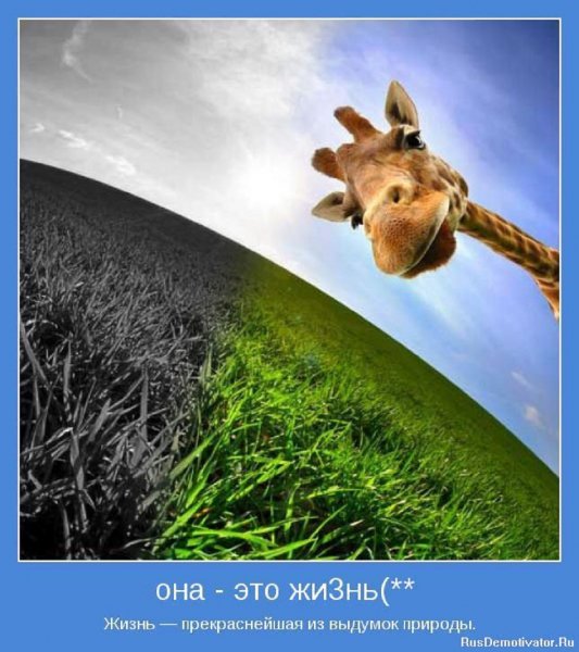 Жизнь -...
