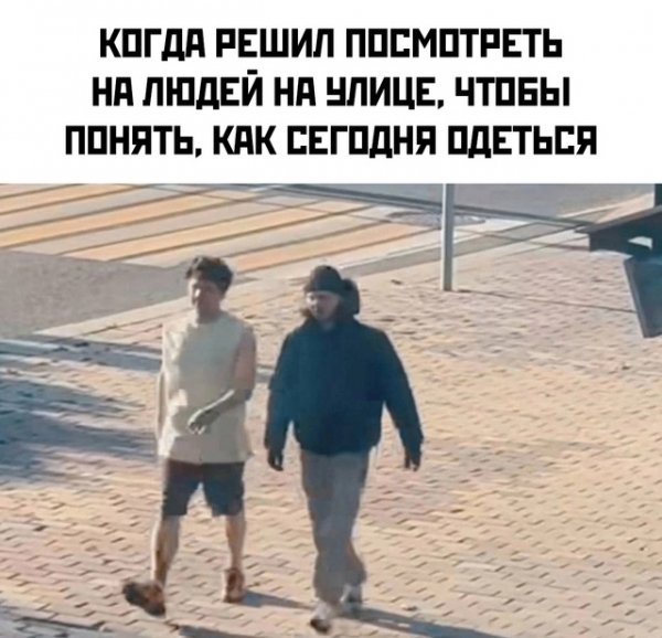 file_97691828