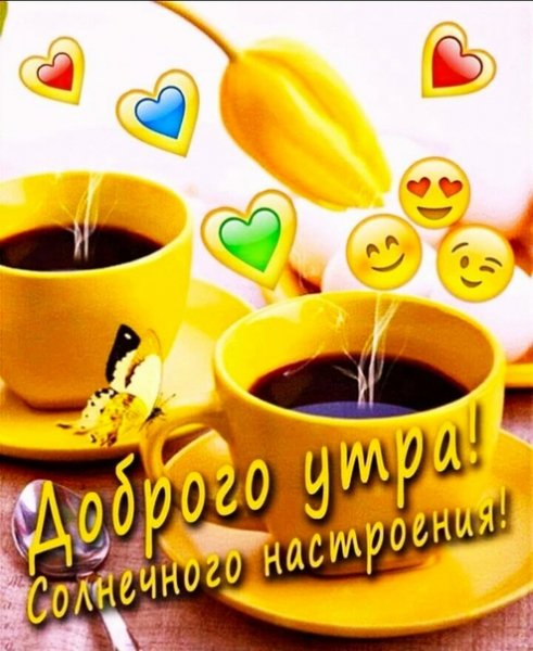 IpBdmrQjrzo