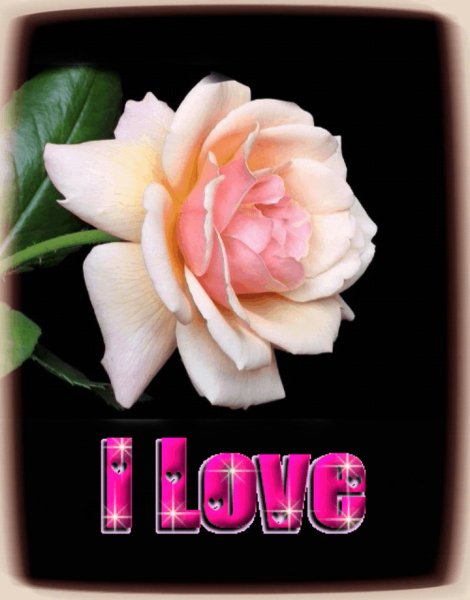 РЖ ILY