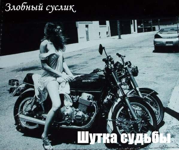 Злобный Суслик - Шутка судьбы