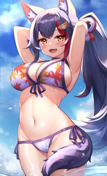 Ookami Mio