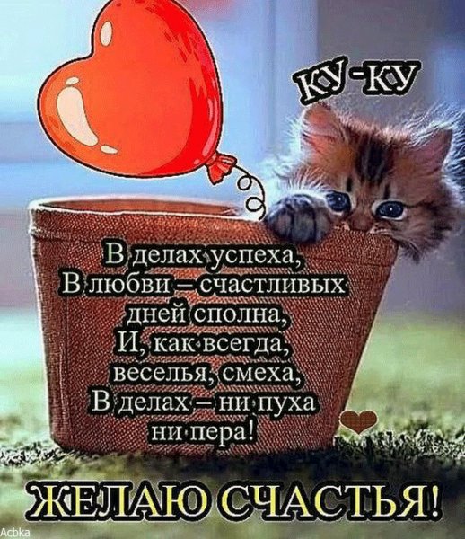 file_76095279